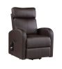 Ricardo Recliner w/Power Lift; Brown PU